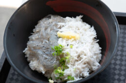 生しらすと釜揚げ丼