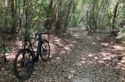 モトベロ星が丘　深緑のグラベルを走るe-bikeライド