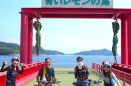 青いレモンの島ゲート