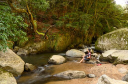 福10ルート 筑紫耶馬溪