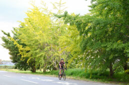 福10ルート：太原のイチョウ