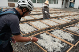 コースを外れ海沿いの道を行く