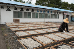 株式会社丸三水産