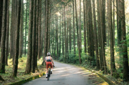 周回コースでの上り区間