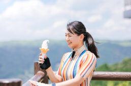 城山レストハウスのソフトクリーム