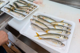 魚屋で購入したもの