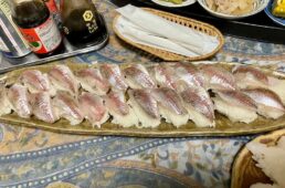 買った魚の調理後