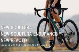 メリダ・スクルトゥーラ new105