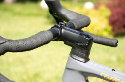 ウィリエールトリエスティーナ・アドラー