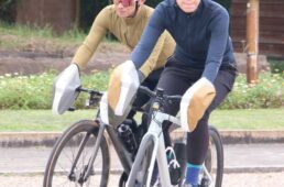 R250ウィンターハンドルカバー