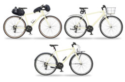 !CYCLES C101!のカスタム例