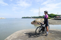 豊前海を望む海岸