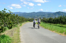 うきはの果樹園