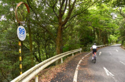 英彦山99カーブ