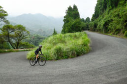 鉾立峠（ほこたてとうげ）へヒルクライム