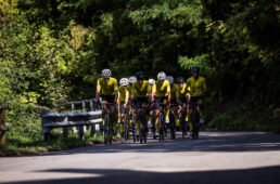 ピナレロ・ドグマX