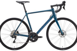 メリダ・スクルトゥーラ new105