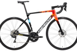 メリダ・スクルトゥーラ new105