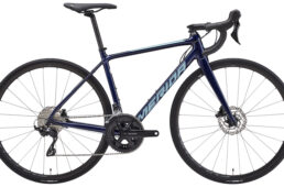 メリダ・スクルトゥーラ new105