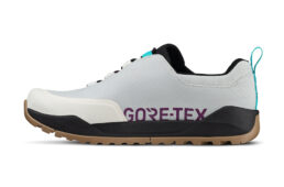 フィジーク・エルゴレースGTX