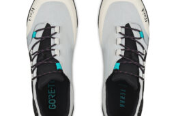 フィジーク・エルゴレースGTX