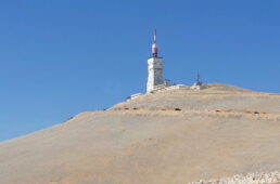 自転車協会　ロードバイクのサドル