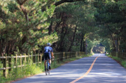 福10ルート：さつき松原