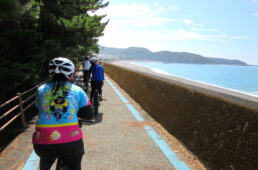 志原海岸の横の太平洋岸自転車道