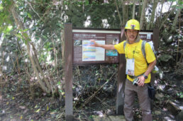 フェニックス褶曲のガイド