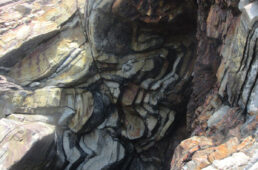 フェニックス褶曲