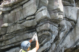 フェニックス褶曲