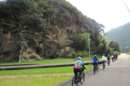 高池の虫喰い岩