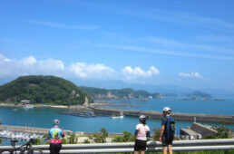 太地へと向かう下り坂の途中
