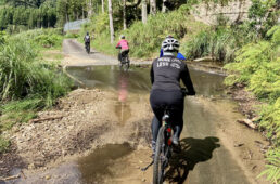 アドベンチャー感溢れる道