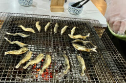 鮎の炭火焼