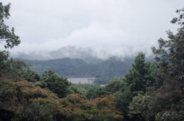 大斎原に立つ大鳥居