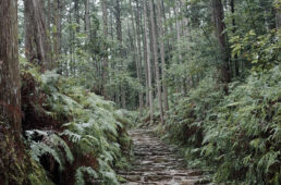 江戸時代に作られた石畳