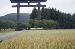 大斎原の大鳥居