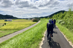 富田川の田んぼ