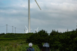 風力発電の風車