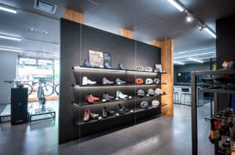 スペシャライズド 仙台泉