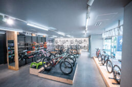 スペシャライズド 仙台泉