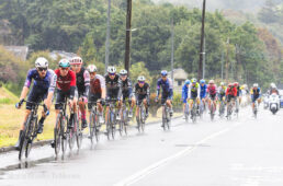 2023ジャパンカップ