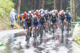 2023ジャパンカップ