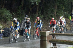 新城幸也　2023ジャパンカップ