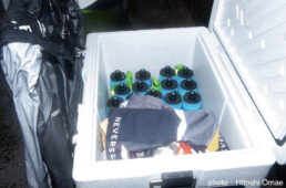 新城幸也　2023ジャパンカップ