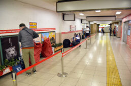 ジャパンカップトレイン2023