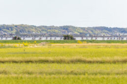 Jプロツアー2023最終戦