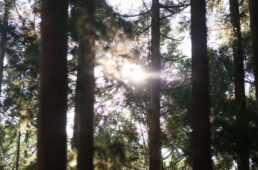 ラファプレステージ熊野