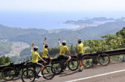 那智勝浦の町と太平洋を一望